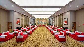 大VIP廳